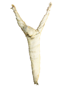 Sculpture made by waste material-cloth